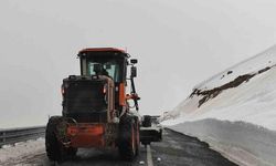 Kapalı olan Ardahan-Ardanuç kara yolu ulaşıma açıldı