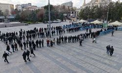 Kırıkkale'de Ücretsiz Çam Fidanları Kısa Sürede Tükendi