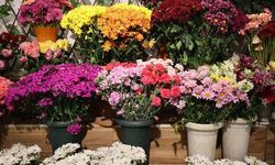 Kırşehir'de Düğün Sezonu Öncesi Çiçekçilerde Yoğunluk Artıyor