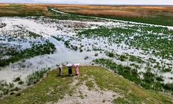 Konya'daki Akşehir Gölü 8 Yıl Aradan Sonra Yeniden Suya Kavuştu