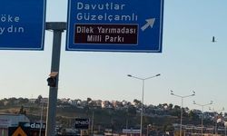 Kuşadası'nda 40 Yıl Sonra Leylek Yuvası Kuruldu