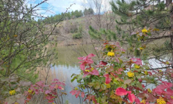 Kütahya Dumlupınar Üniversitesi'nde Baharın Renkleri Saklıgöl'de Canlanıyor
