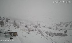 Malatya'da Aç Kalan Kurt Sürüsü Köyde Görüldü