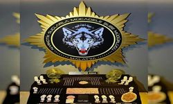 Malatya'da Uyuşturucuya Yönelik Operasyon: 11 Tutuklama