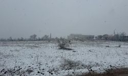 Malatya'da Yüksek Kesimlerde Kar Yağışı Etkili Oldu