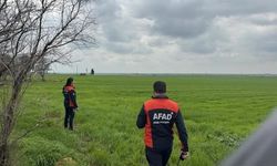 Mardin Kızıltepe'de Kaybolan 80 Yaşındaki Kadın Ölü Bulundu