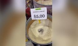 Mersin'de Açıkta Satılan Pirinçte Kedi Dışkısı Tespit Edildi