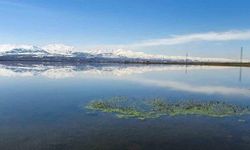 Meteorolojiden Doğu Anadolu İçin Zirai Don Uyarısı