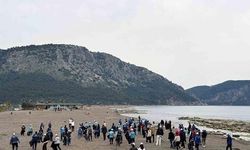 Muğla Büyükşehir Belediyesi Dalaman Kayacık Sahili'nde Temizlik Çalışması Yaptı