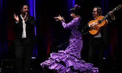 Naturalmente Flamenco ile Flamenko İstanbul'da Canlanıyor