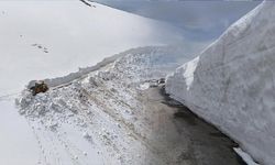 Ordu'da Nisan Sonunda Yoğun Kar Temizliği