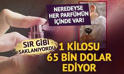 Parfümlerin Değeri Yüksek Gizli Malzemesi: Ambergris