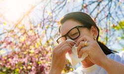 Polen Alerjisinde Kritik Saatler ve Önlemler