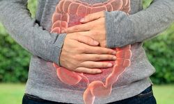 Prof. Dr. Mehmet Yalnız'dan Sindirim Sağlığı İçin Kritik Uyarılar
