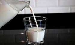 Prof. Dr. Osman Müftüoğlu'ndan Süt Tüketimi Hakkında Önemli Uyarı