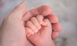 Prof. Dr. Yusuf Aytaç Tohma: Stres Tüp Bebek Tedavisinin Başarısını Olumsuz Etkiliyor