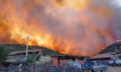 Salihli'de Orman Yangınlarına Karşı Anız Yakma Yasağı Getirildi
