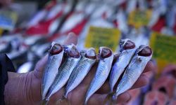 Samsun'da İstavrit Fiyatları 70 TL'ye Düştü, Av Yasağına Sayılı Günler Kaldı