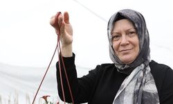 Samsunlu Ev Hanımı Filiz Köksal, Süs Bitkileri Serasıyla Başarıya Ulaştı