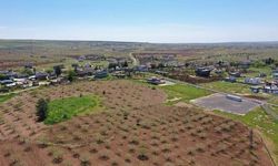 Şanlıurfa'da Taş Tepeler Projesi Uluslararası Kazılarla Derinleşiyor