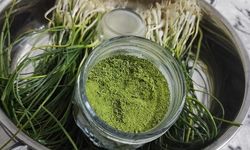 Sason'un Endemik Zuzubak Otu Kilosu 15 Bin Liraya Alıcı Buluyor