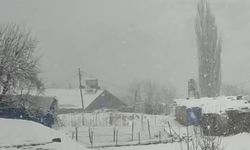 Siirt'in Kesmetaş Köyünde Nisan Ayında Kar Yağışı Etkili Oldu