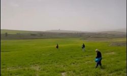 Siirt'te Yoğun Yağış Tarımda Eski Yöntemleri Zorunlu Kıldı