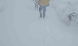 Şırnak'ta İlkbahar Karı Ulaşımı Aksattı