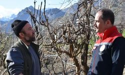 Şırnak'ta Seracılıkla Ailesine Destek Oluyor