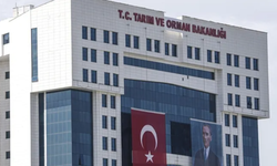 Tarım Bakanlığı'ndan Kars'taki Mera Kullanımıyla İlgili Açıklama