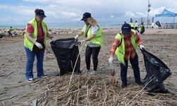 Tarsus'ta Deniz Kaplumbağaları İçin Koruma Çalışmaları Başladı