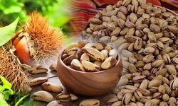 TasteAtlas'ın Dünyanın En İyi Kuruyemişleri Listesinde Türkiye'den 3 Ürün