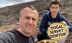 Tavşanlı'da Baba-Oğulun Mantar Avı Zenginliği