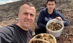 Tavşanlılı Baba-Oğul Kuzu Göbeği Mantarında Bereketli Av Yaptı