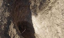 Tekirdağ Çene Mahallesi Mezarlığında İzinsiz Kazı İddiası