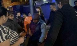 Tekirdağ'da Aniden Parlayan At Sahibine Zarar Verdi