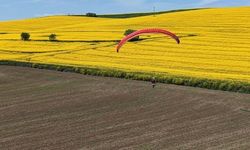 Tekirdağ'da Kanola Tarlalarında Renkli Gökyüzü Uçuşu