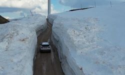 Tokat'ta 6 Metrelik Kar Duvarları Doğanın Gücünü Gösterdi