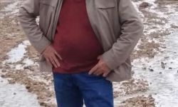 Trabzon'da Kamyonet Uçuruma Yuvarlandı: Sürücü Hayatını Kaybetti