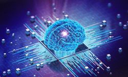 Türk Nöroşirürji Uzmanı Dr. Murat Günel, Biyo-Hibrit Beyin-Bilgisayar Arayüzü Projesine Liderlik Ediyor