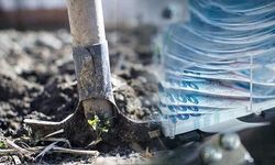 Türkiye, Gümrük Vergilerini Gübre Ürünlerinde Sıfırlayarak Krize Karşı Önlem Aldı