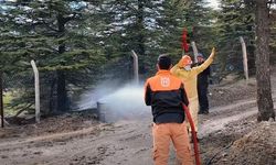 Türkiye Ormancılık Yarışmaları Elazığ'da Gerçekleştirildi