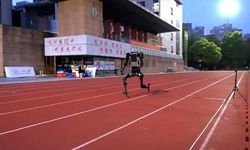 Unitree'nin H1 Robotu Saniyede 10 Metre Hıza Ulaştı