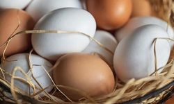 Uzmanlar Sağlıklı Yumurta Türünü ve Tüketim Önerilerini Paylaştı