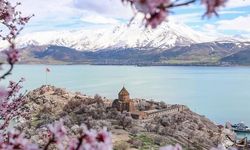 Van Gölü'nde Baharın Renkleri: Akdamar Adası Badem Çiçekleriyle Göz Kamaştırıyor