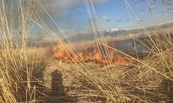 Van Muradiye'de Sazlık Yangını Kontrol Altına Alındı