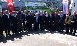 Van'da 5 Yılda Milyonlarca Fidan Toprakla Buluştu