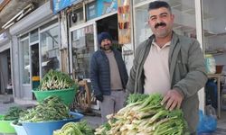 Van'da Doğal Otlar Pazarlarda Yerini Aldı: Kilosu 500 TL'ye Kadar Çıkıyor