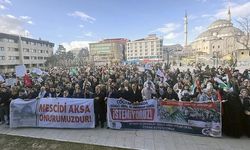 Van'da Gazze İçin Destek Yürüyüşü Düzenlendi
