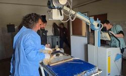 Van'daki Depremde Yaralanan Kuzular Veteriner Fakültesinde Tedavi Ediliyor